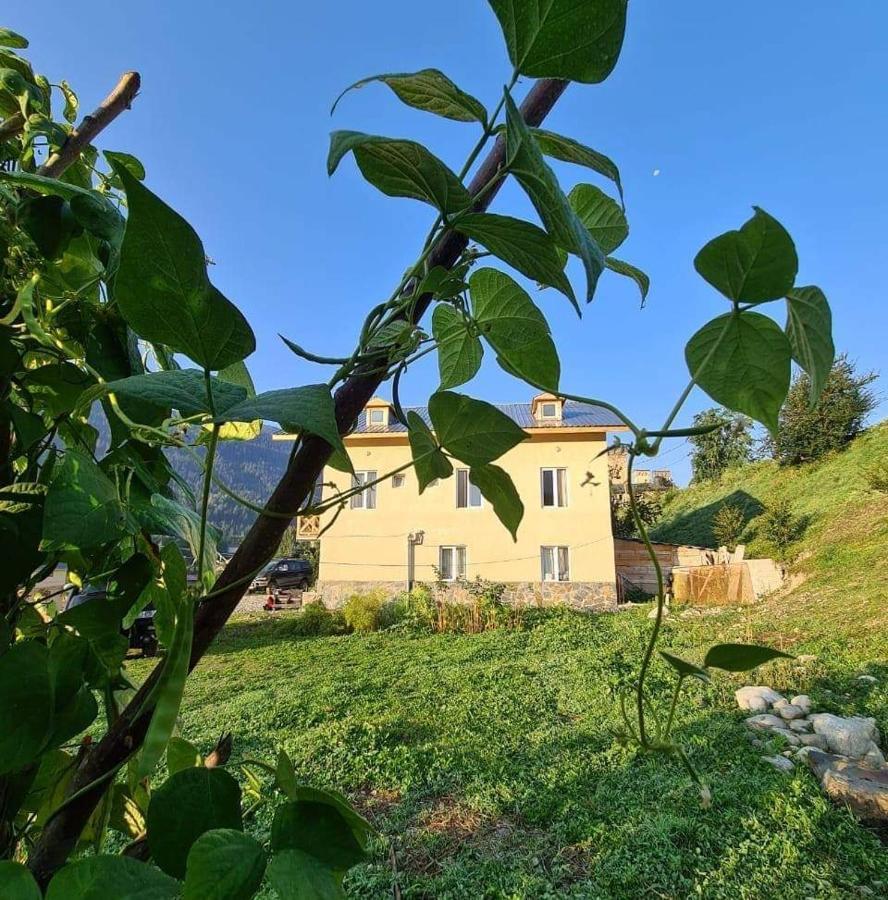 Tetne Qor Guesthouse Mestia Exterior foto